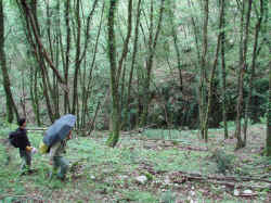 DSC03424.JPG (913470 byte)