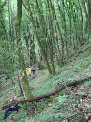 DSC03426.JPG (1015680 byte)