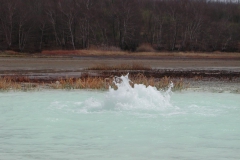Dscn2534
