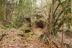 P1290560