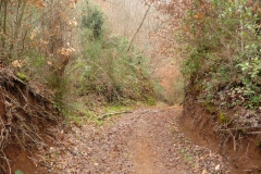 P1290582