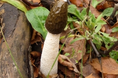P1290583