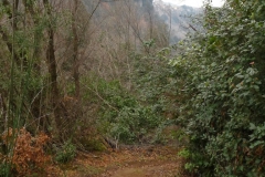 P1290587
