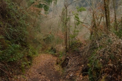 P1290590