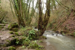 P1290599