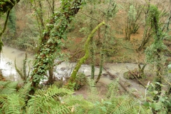 P1290600