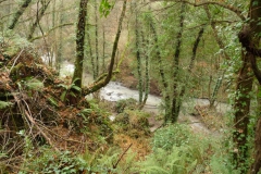 P1290602
