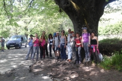 Albero2