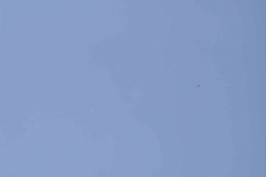 1.htm39