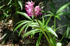 1.htm51