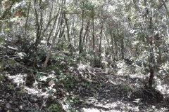 20180610_110528
