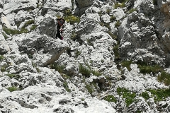 IMG_20180624_123610