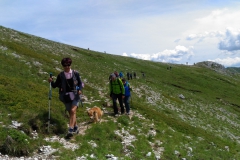 IMG__20180624_144603