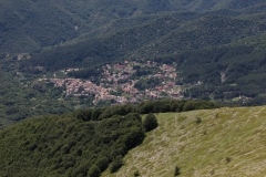 lm36290