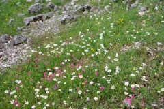 Dscn0006(6)
