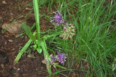 Dscn0017(4)