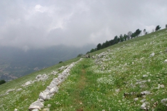 Dscn0019(4)