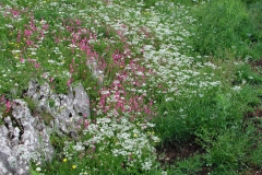 Dscn0022(2)