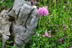Dscn0028(2)