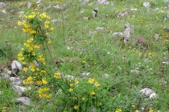 Dscn0029(2)