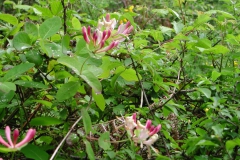 Dscn0031(2)
