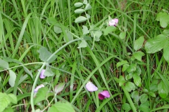 Dscn0033(2)