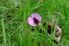 Dscn0035