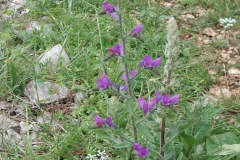 Dscn0038