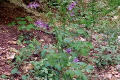 Dscn0042