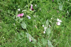 Dscn0045