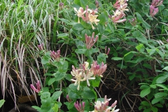 Dscn0046