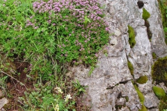 Dscn0047