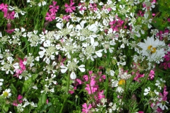Dscn0051