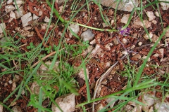 Dscn0053