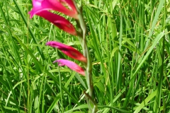Dscn1863