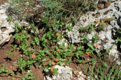 Dscn1869