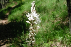 Dscn1873