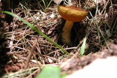Dscn1875