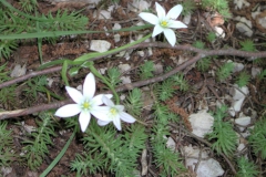 Dscn1877