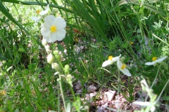 Dscn1878