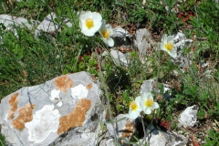 Dscn1886