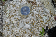 Dscn1894