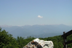Dscn1895