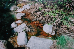 1.htm21