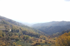 20171119_124200