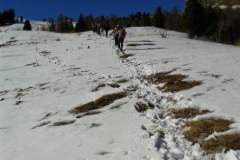20170127_120911