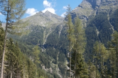 P7171717