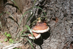 P7171723