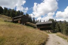 P7181811