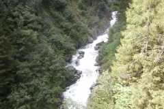 P7191825